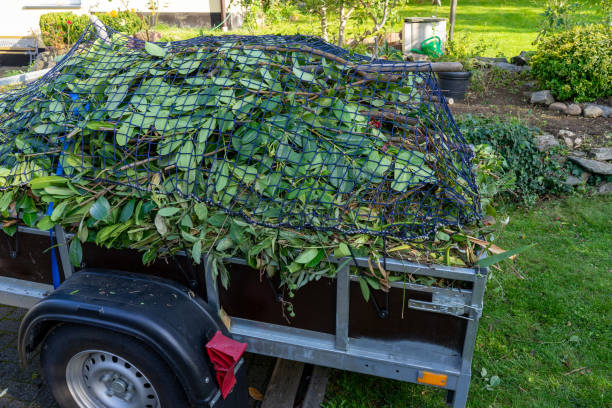 Best Furniture Removal  in Pinconning, MI